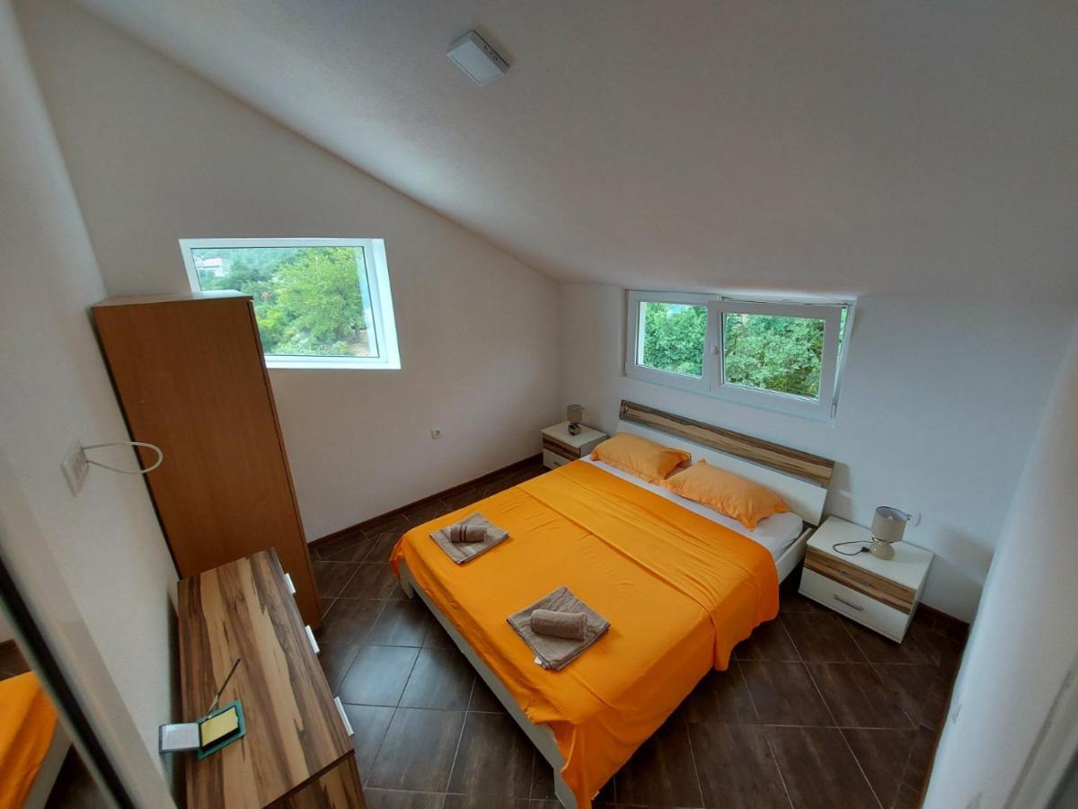 Vila Alexandria Apartment Markovici Bagian luar foto