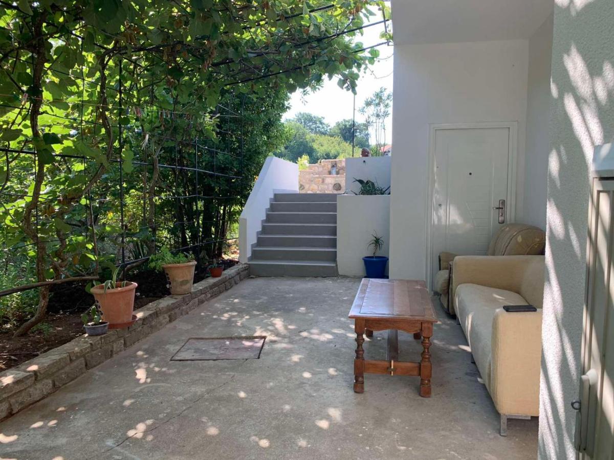 Vila Alexandria Apartment Markovici Bagian luar foto