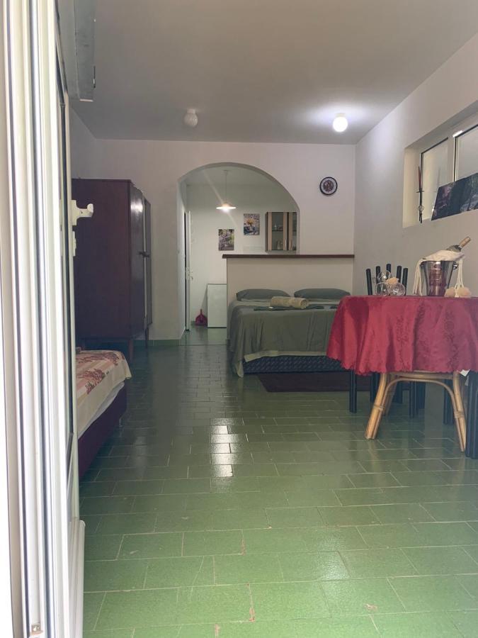 Vila Alexandria Apartment Markovici Bagian luar foto
